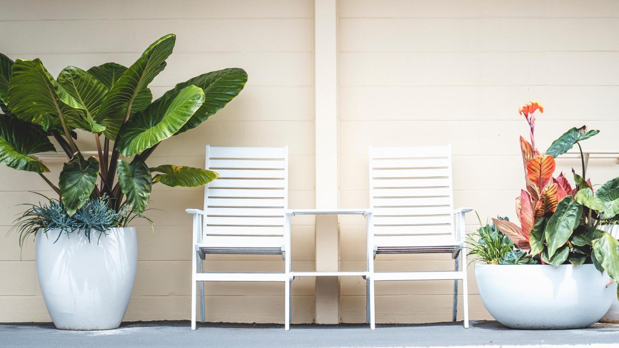 South Seas Motel Merimbula Eksteriør bilde